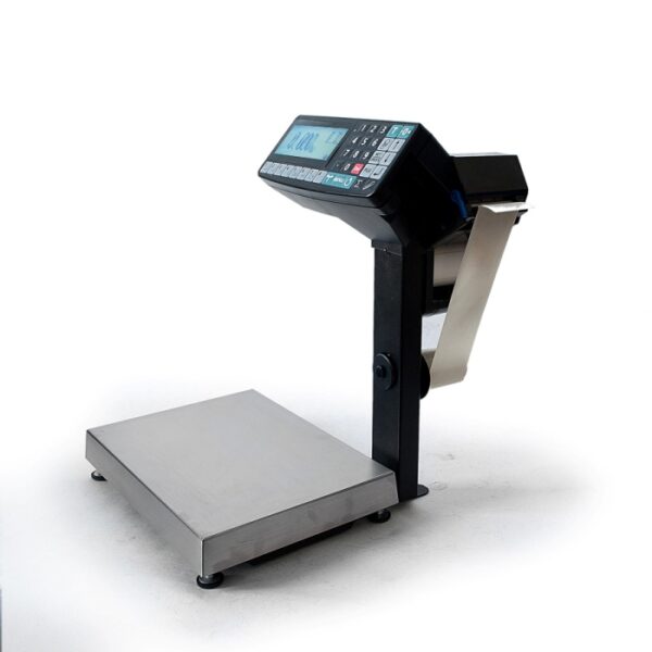Торговые весы с печатью этикеток МК-32.2-R2P10-1